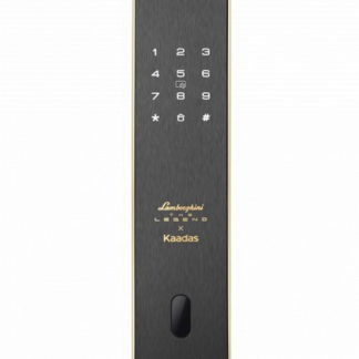 Биометрический электронный замок с распознаванием лица Kaadas K13F gold